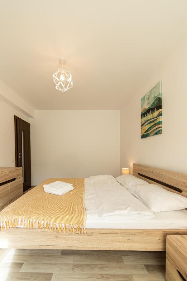 Citadel Apartament'S Rîşnov Extérieur photo